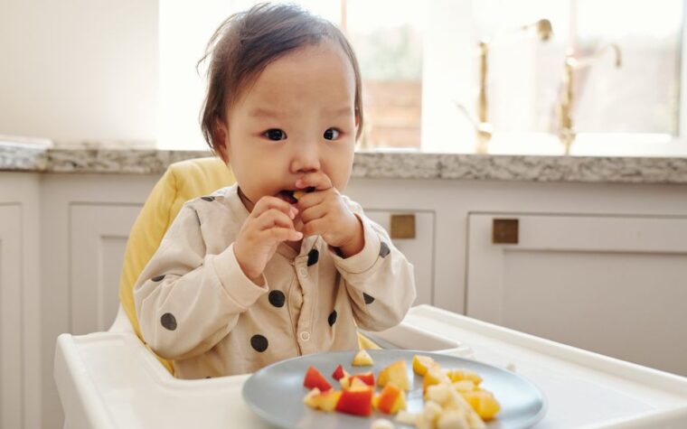 Quando introduzir alimentos solidos guia