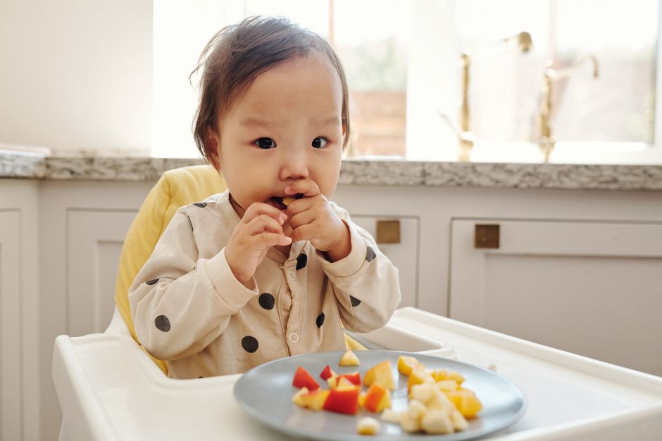 Quando introduzir alimentos solidos guia